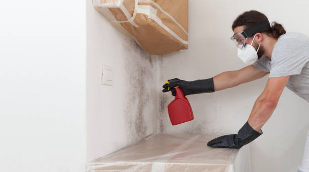 Professional Crawl Space Mold Removal technician working in Lothian, MD